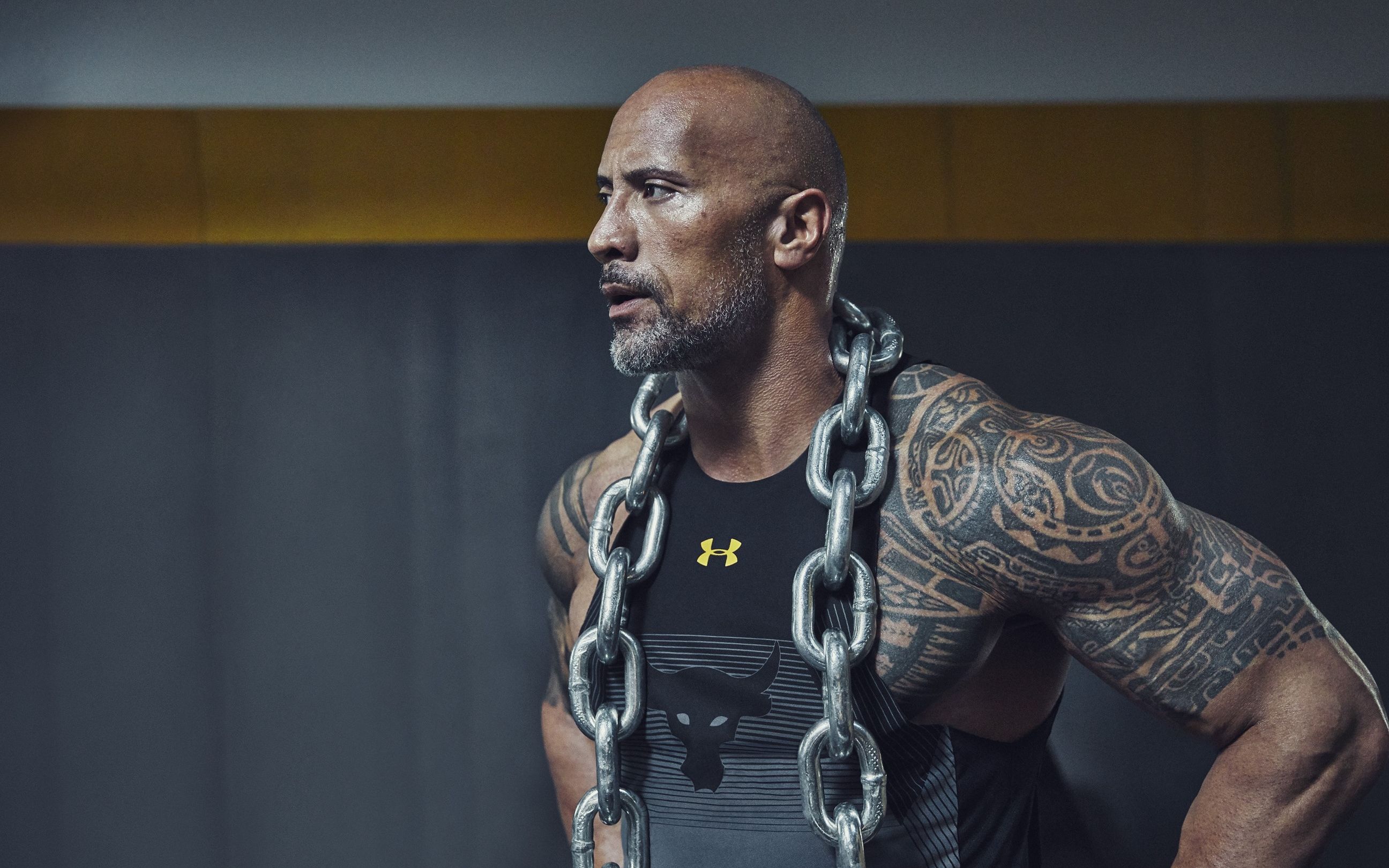 详细阅读:therock(therock出场音乐) therock(therock出场音乐)